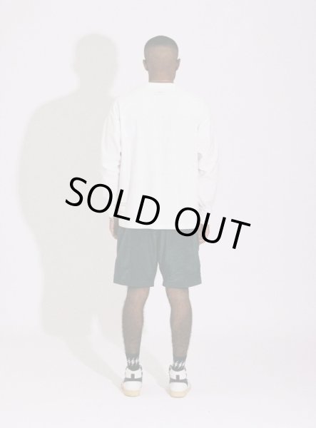 画像8: TAIN DOUBLE PUSH / double push l/s tee (8)