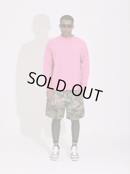 画像7: TAIN DOUBLE PUSH / no vacancy l/s tee (7)