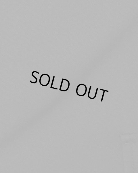 画像3: MLVINCE®︎ / type-4 slim stretch cargo pants  (3)