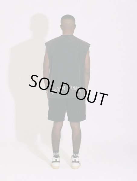 画像6: TAIN DOUBLE PUSH / power department no sleeve tee (6)