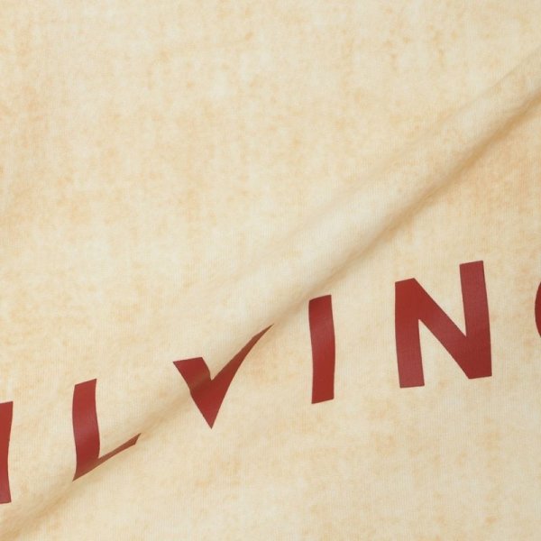 画像3: MLVINCE®︎ / big logo s/s tee  (3)