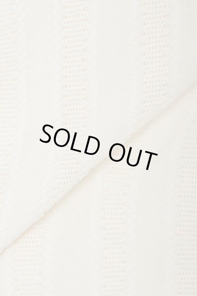 画像3: MLVINCE®︎ / stripe lace s/s shirts (3)