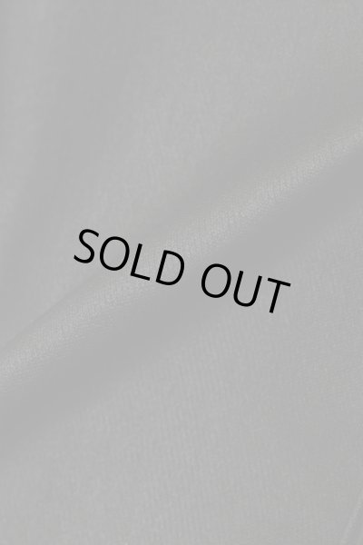 画像6: MLVINCE®︎ / type-4 slim stretch wax cargo pants (6)