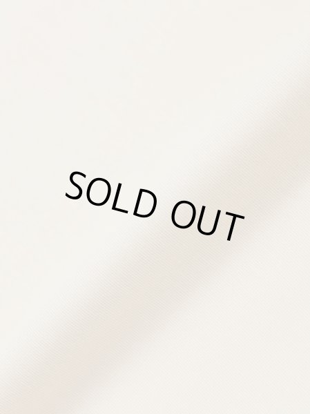 画像7: MLVINCE®︎ / nylon cargo shorts  (7)