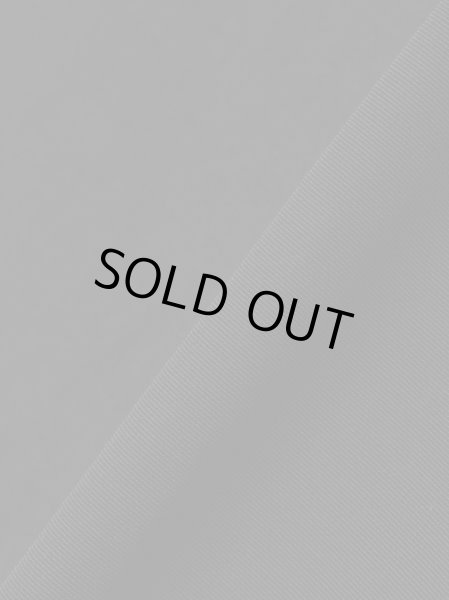 画像7: MLVINCE®︎ / nylon s/s shirts (7)