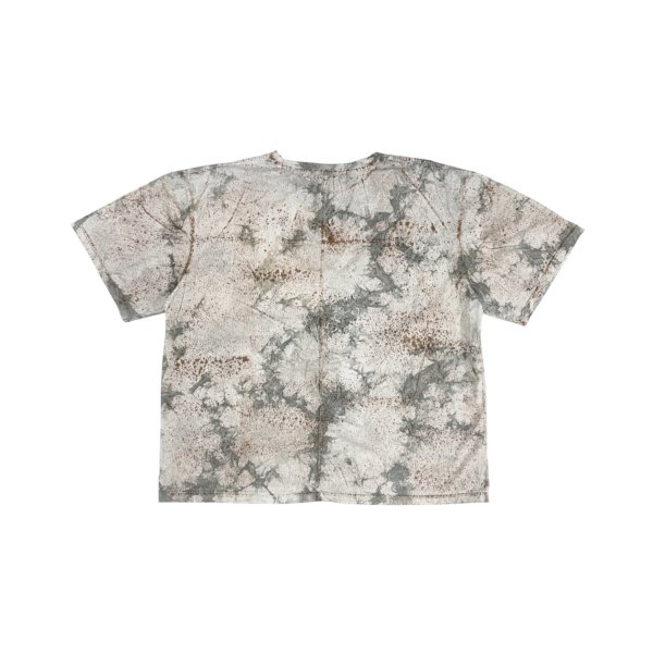 画像2: LAST NEST / rust t-shirt  (2)