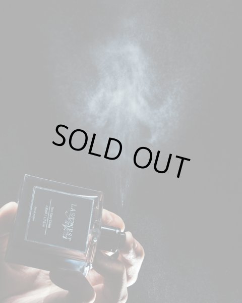 画像5: LAST NEST / sun goes down (5)