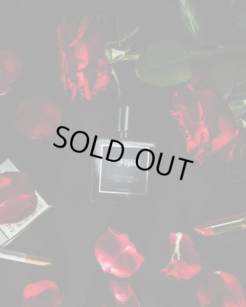 画像3: LAST NEST / ghetto cinderella (3)