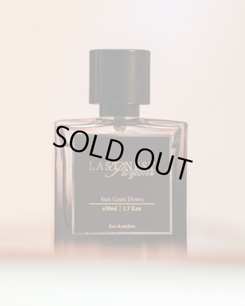 画像1: LAST NEST / sun goes down (1)