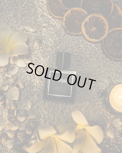 画像4: LAST NEST / sun goes down (4)