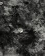 画像5: LAST NEST / leather tie-dye shirt  (5)