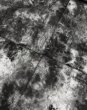 画像6: LAST NEST / leather tie-dye shirt  (6)