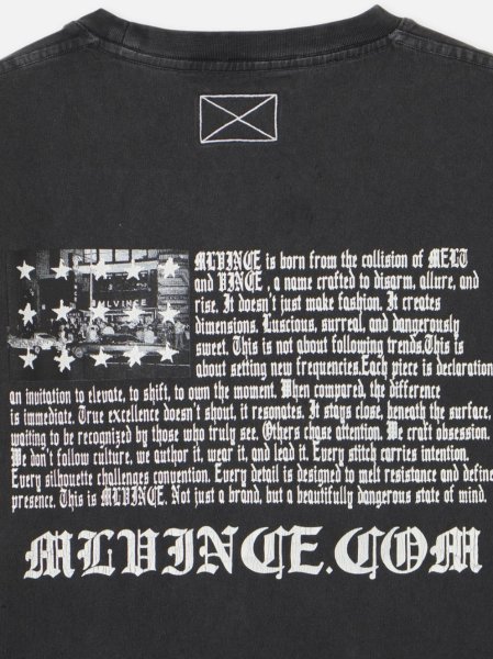 画像7: MLVINCE®︎ / mlv flag big tee  (7)