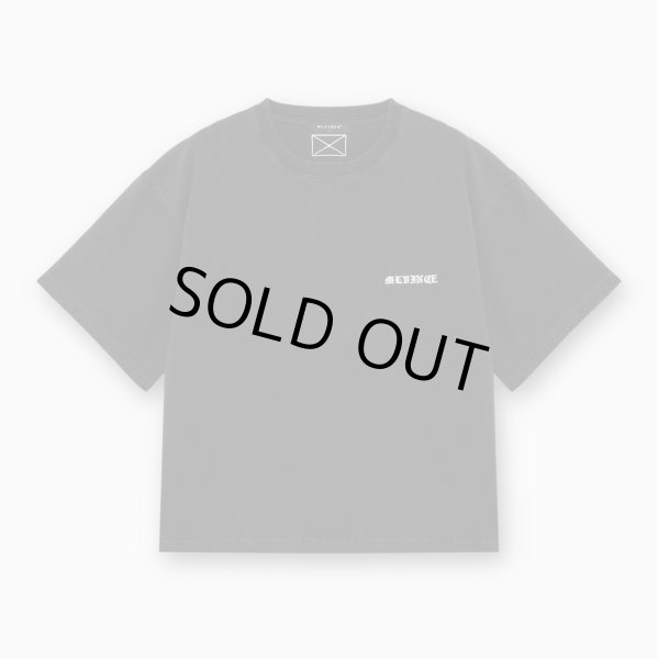画像2: MLVINCE®︎ / mlv flag big tee  (2)
