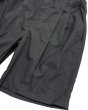 画像2: EXPANSION / alva luxor shorts  (2)