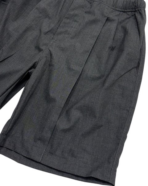 画像2: EXPANSION / alva luxor shorts  (2)