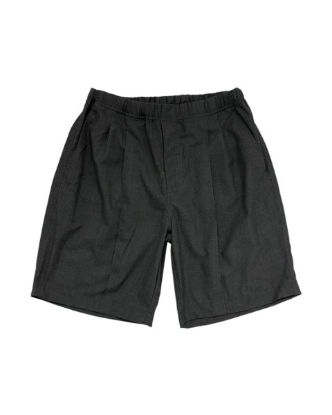 画像1: EXPANSION / alva luxor shorts  (1)
