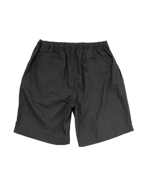 画像3: EXPANSION / alva luxor shorts  (3)