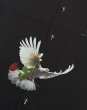 画像3: LAST NEST / doves & roses l/s shirts  (3)