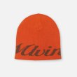 画像1: MLVINCE®︎ / script logo beanie  (1)