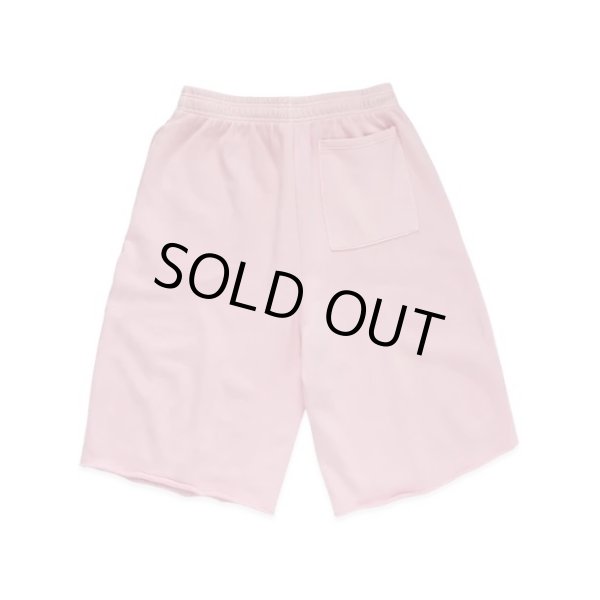 画像2: TRAVIS SCOTT / cactus jack x nike property of shorts (2)